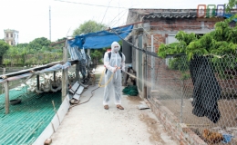 Chủ động ứng ph&oacute; với dịch c&uacute;m gia cầm