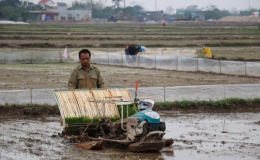 Vụ cấy l&uacute;a Xu&acirc;n tiết kiệm h&agrave;ng tỷ m3 nước