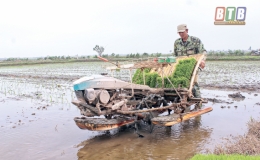 Th&aacute;i Thụy tập trung gieo cấy l&uacute;a xu&acirc;n