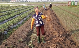 Vũ An: Trồng thử nghiệm c&acirc;y sinh địa