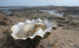 Những l&yacute; do khiến h&ograve;n đảo dưới đ&acirc;y l&agrave; điểm đến l&yacute; tưởng 