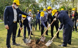 C&ocirc;ng ty Cổ phần Sản xuất h&agrave;ng thể thao Chi nh&aacute;nh Th&aacute;i B&igrave;nh trồng hơn 1.000 c&acirc;y xanh c&aacute;c loại