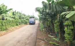 Đồng Nai phấn đấu ho&agrave;n th&agrave;nh mục ti&ecirc;u n&ocirc;ng th&ocirc;n mới n&acirc;ng cao