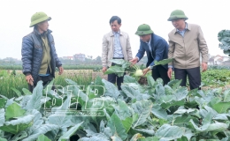 Kiến Xương: Vượt kh&oacute; ph&aacute;t triển