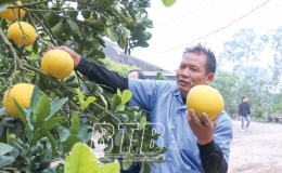 Những tỷ ph&uacute; n&ocirc;ng d&acirc;n