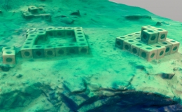 Rạn san h&ocirc; nh&acirc;n tạo l&agrave;m từ b&ecirc; t&ocirc;ng t&aacute;i chế