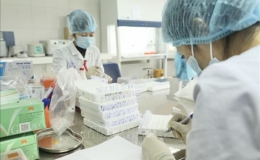 S&aacute;ng 30 Tết, Hải Dương v&agrave; Quảng Ninh c&oacute; th&ecirc;m 18 ca mắc mới COVID-19