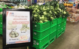 Si&ecirc;u thị tập trung ti&ecirc;u thụ n&ocirc;ng sản Hải Dương