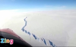 Tảng băng lớn hơn cả New York vừa t&aacute;ch khỏi Nam Cực