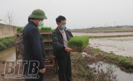 Tập trung sản xuất vụ xu&acirc;n bảo đảm trong khung thời vụ tốt nhất