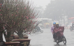 Miền bắc mưa nhỏ, sương m&ugrave; về đ&ecirc;m v&agrave; s&aacute;ng sớm