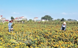 Xu&acirc;n no ấm, đủ đầy