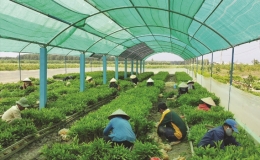 C&agrave; Mau: Quyết t&acirc;m ph&aacute;t triển, x&acirc;y dựng n&ocirc;ng th&ocirc;n mới v&ugrave;ng đồng b&agrave;o Khmer