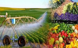 Đến năm 2050, Việt Nam trở th&agrave;nh nước c&oacute; nền n&ocirc;ng nghiệp h&agrave;ng đầu thế giới