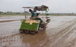 Khẩn trương cho sản xuất vụ xu&acirc;n