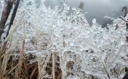 R&eacute;t hại ở Bắc Bộ c&oacute; khả năng k&eacute;o d&agrave;i đến ng&agrave;y 22/2