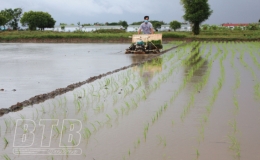 Th&aacute;i Thụy: Gieo cấy l&uacute;a xu&acirc;n gắn với ph&ograve;ng, chống dịch