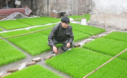 Th&aacute;ng Gi&ecirc;ng kh&ocirc;ng c&ograve;n l&agrave; th&aacute;ng &ldquo;ăn chơi&rdquo;