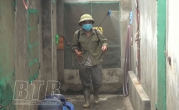 Tiền Hải: Bảo đảm an to&agrave;n vật nu&ocirc;i khi t&aacute;i đ&agrave;n