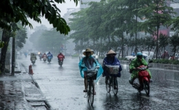 Tin gi&oacute; m&ugrave;a Đ&ocirc;ng Bắc v&agrave; r&eacute;t