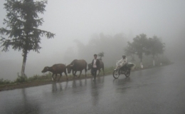 Trời r&eacute;t đậm, r&eacute;t hại, c&oacute; khả năng xảy ra băng gi&aacute;, mưa tuyết