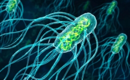 Biến đổi kh&iacute; hậu l&agrave;m gia tăng c&aacute;c si&ecirc;u vi khuẩn kh&aacute;ng thuốc kh&aacute;ng sinh