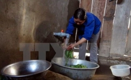 C&agrave; Mau đầu tư tr&ecirc;n 70 tỷ đồng cấp nước sạch cho v&ugrave;ng n&ocirc;ng th&ocirc;n