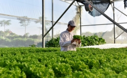 Cơ hội cho c&aacute;c start-up về c&ocirc;ng nghệ n&ocirc;ng nghiệp