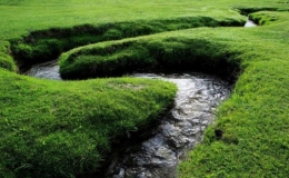 Con s&ocirc;ng hẹp nhất thế giới tồn tại từ 10.000 năm trước