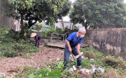 Ghi nhận 14 ca mắc sốt xuất huyết từ đầu năm 2023 đến nay