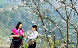 Lễ hội Hoa Ban năm 2023 v&agrave; ng&agrave;y hội Văn h&oacute;a, Thể thao, Du lịch c&aacute;c d&acirc;n tộc tỉnh Điện Bi&ecirc;n lần thứ VII