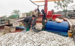 Ngư d&acirc;n Th&aacute;i Thụy: Đ&oacute;n lộc biển đầu xu&acirc;n