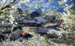 Phong vị xu&acirc;n