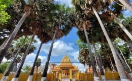 Thăm ng&ocirc;i ch&ugrave;a c&oacute; nhiều c&acirc;y thốt nốt nhất ở S&oacute;c Trăng