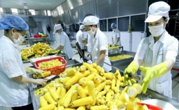 Th&aacute;ng 1/2023: Xuất khẩu n&ocirc;ng, l&acirc;m, thủy sản đạt hơn 3,7 tỷ USD