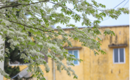 Thời tiết h&ocirc;m nay (22/2): Miền Bắc r&eacute;t về đ&ecirc;m v&agrave; s&aacute;ng, miền Nam ng&agrave;y nắng