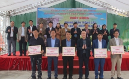  Tiếp nhận gần 20.000 c&acirc;y giống m&iacute;t dai v&agrave;ng