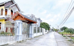 Trọn niềm tin theo Đảng