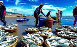 100% c&aacute;c hồ tự nhi&ecirc;n được đ&aacute;nh gi&aacute; nguồn lợi thủy sản