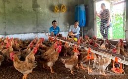 Chủ động t&aacute;i đ&agrave;n vật nu&ocirc;i