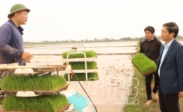 Đ&ocirc;ng Hưng: Mở rộng diện t&iacute;ch cấy m&aacute;y mạ khay