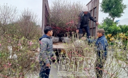 Dự b&aacute;o thời tiết tết Nguy&ecirc;n đ&aacute;n Gi&aacute;p Th&igrave;n khu vực Th&aacute;i B&igrave;nh