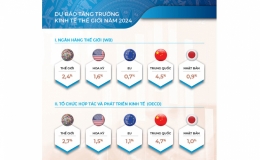 Con t&agrave;u kinh tế th&aacute;ng 1/2024 'chuyển động' mạnh mẽ