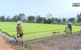 Kiến Xương đẩy mạnh cơ giới h&oacute;a trong sản xuất l&uacute;a