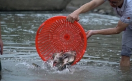 Lễ ph&oacute;ng sinh đặc biệt ở Bắc Giang