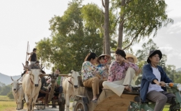 "S&aacute;ng đ&egrave;n" - phim về nghệ thuật cải lương c&oacute; đủ thu h&uacute;t dịp Tết?