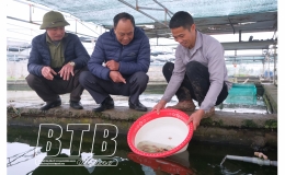 T&acirc;n H&ograve;a: To&agrave;n d&acirc;n đo&agrave;n kết x&acirc;y dựng n&ocirc;ng th&ocirc;n mới 