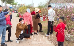 Thị trường hoa, c&acirc;y cảnh ng&agrave;y tết: Đ&ocirc;ng người b&aacute;n, &iacute;t người mua 