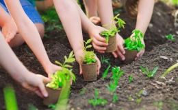 Thủ tướng chỉ thị tổ chức Tết trồng c&acirc;y, tăng cường c&ocirc;ng t&aacute;c quản l&yacute;, bảo vệ, ph&aacute;t triển rừng