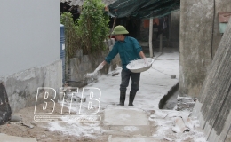 Tổ chức vệ sinh, khử tr&ugrave;ng, ti&ecirc;u độc từ ng&agrave;y 1 - 31/3